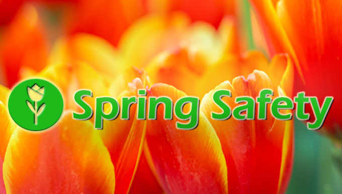 Link to Spring Safety page